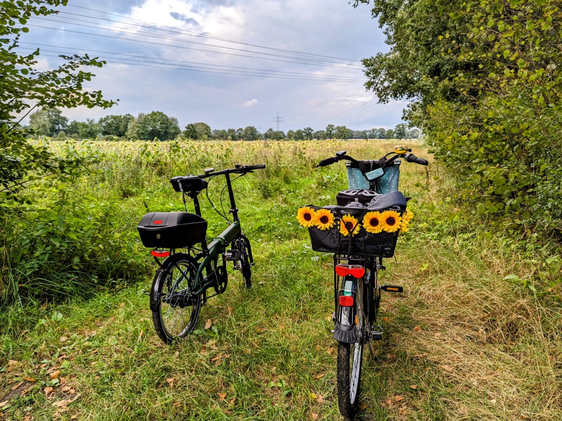 Ein Rückblick auf die Touren