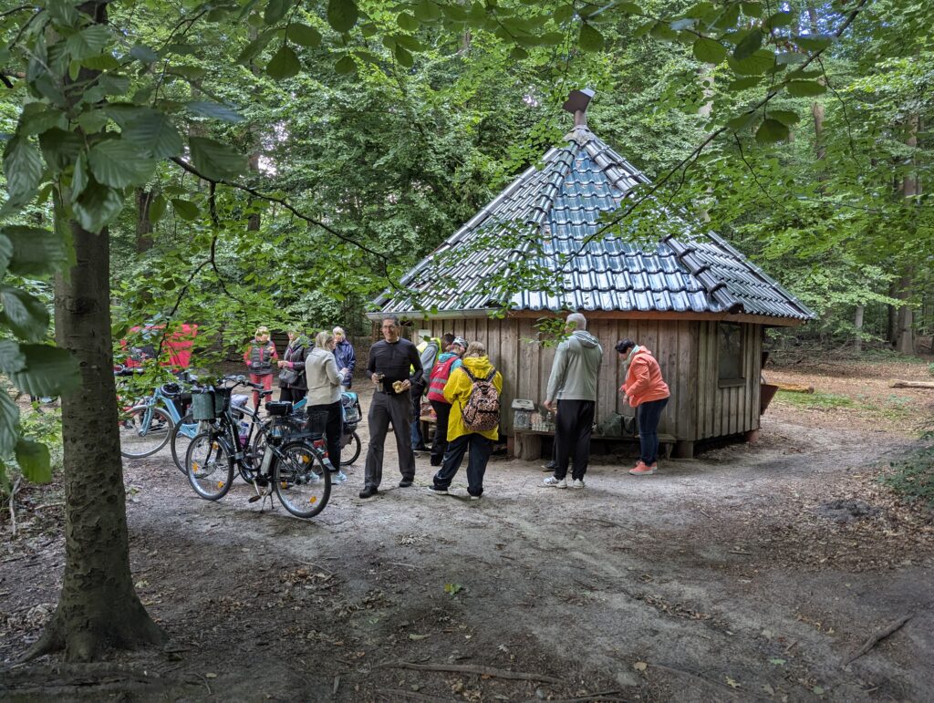 Ein entspanntes Picknick in der Natur